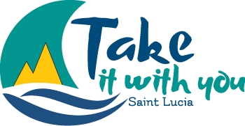 take-it-with-you-logo